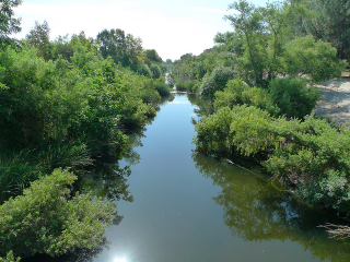 Illustration for article titled I Kayaked the Part of the Los Angeles River That Actually Looks Like a River